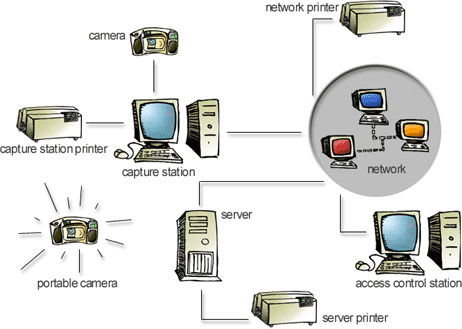 Wellness Scan
